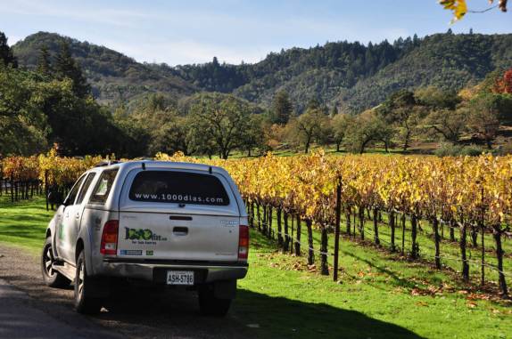Visitando o Napa Valley, na Califórnia, nos Estados Unidos